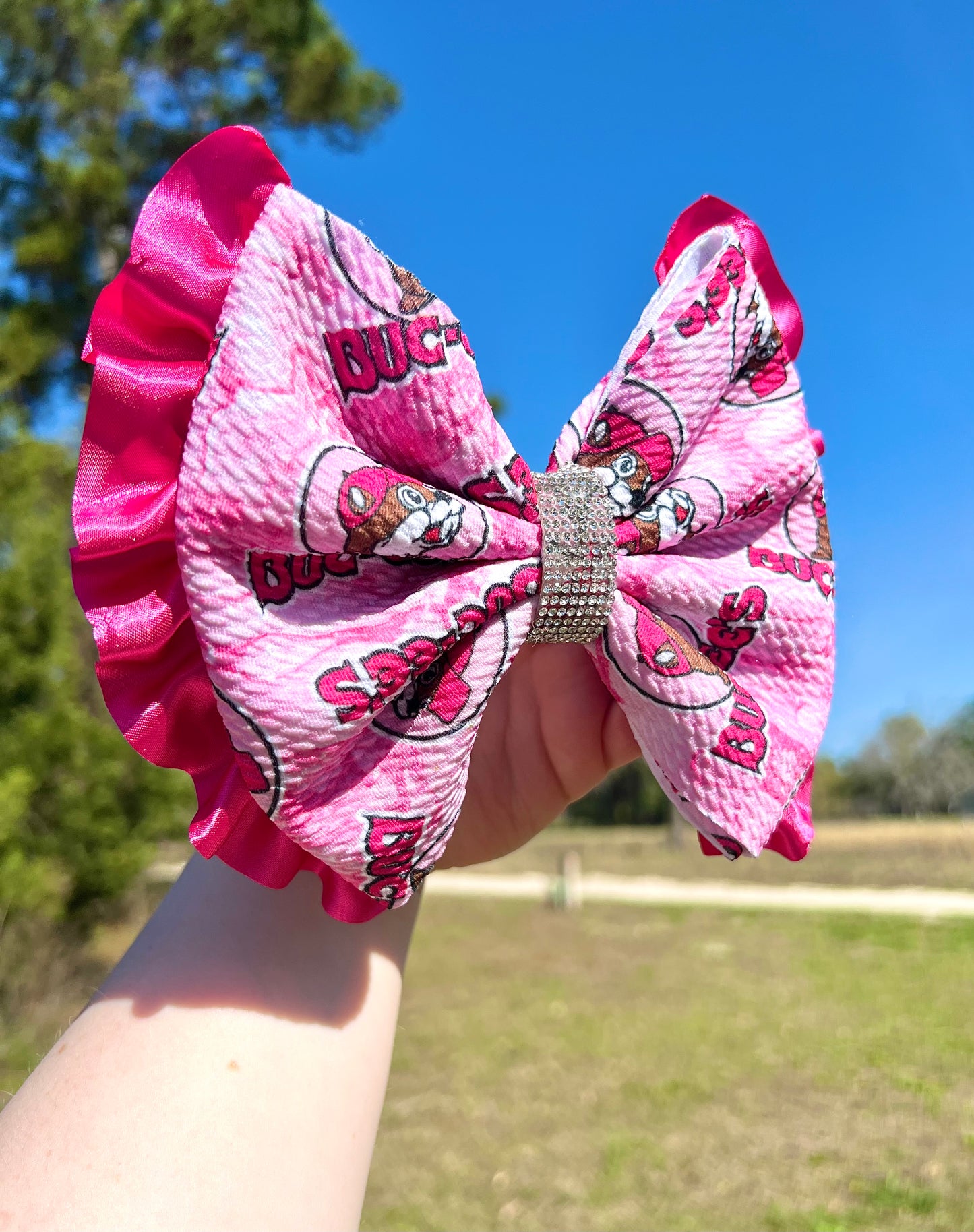 BUC-EES Boujee Bow w/ Alligator Clip