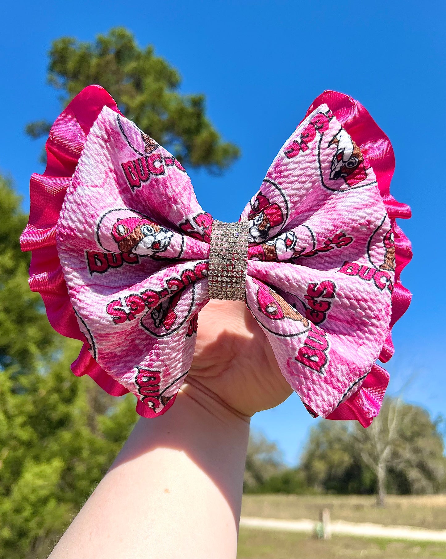 BUC-EES Boujee Bow w/ Alligator Clip
