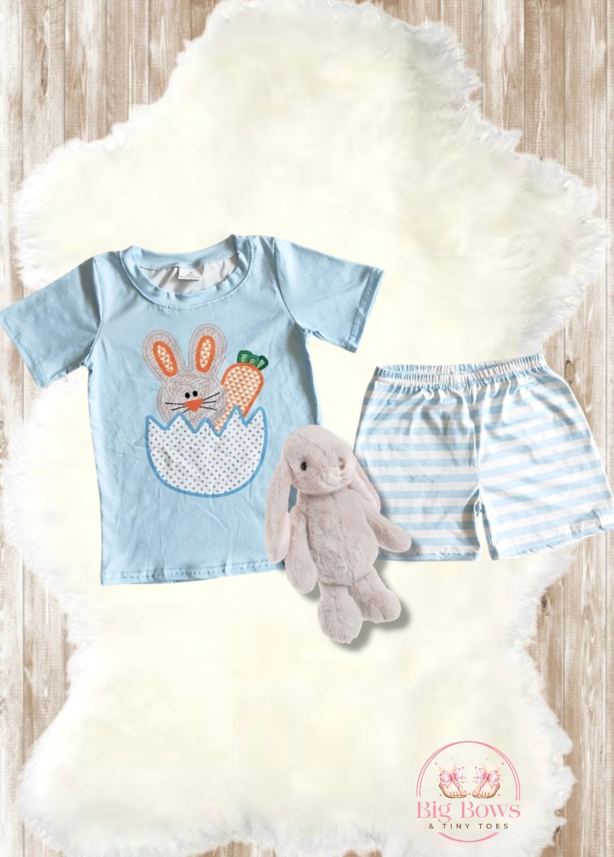 Boys Easter Bunny T-shirt/Shorts Set