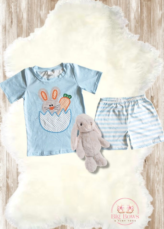 Boys Easter Bunny T-shirt/Shorts Set